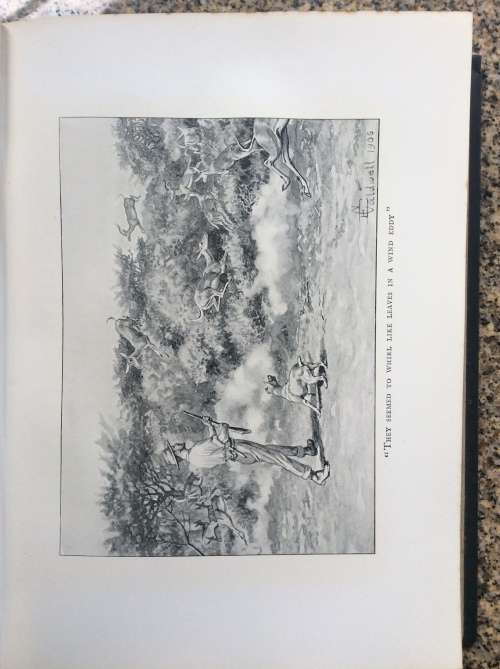 Jock of the Bushveld. Sir Percy Fitzpatrick. Seventh Impression 1913.