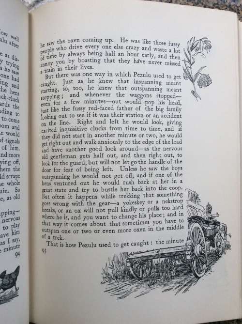 Jock of the Bushveld. Sir Percy Fitzpatrick. Seventh Impression 1913.