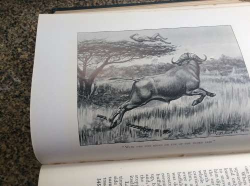 Jock of the Bushveld. Sir Percy Fitzpatrick. Seventh Impression 1913.