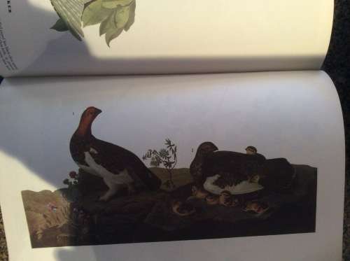 Birds of America. John James Audubon. 1965