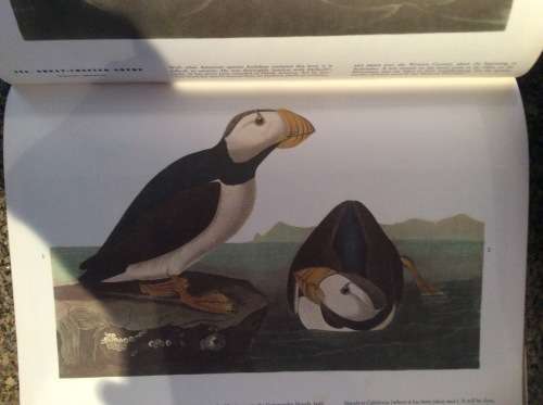 Birds of America. John James Audubon. 1965