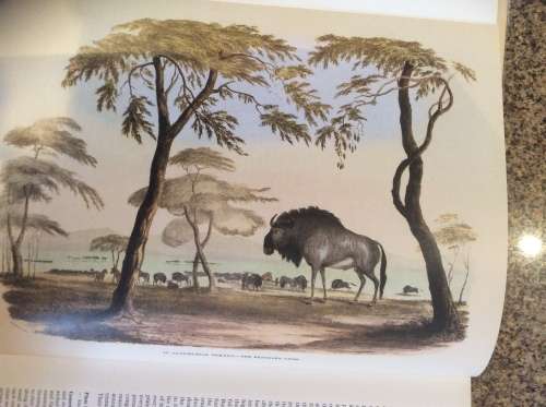 Portraits of the Game and Wild Animals of Southern Africa By: Capt. Cornwallis Harris