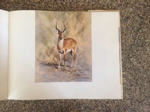 An Artist in Africa  David Shepherd 1st Ed 1969.