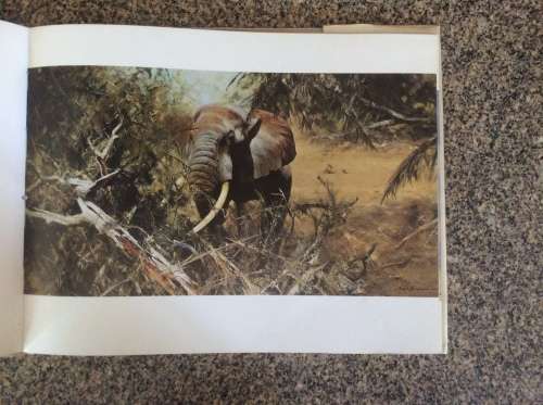 An Artist in Africa  David Shepherd 1st Ed 1969.
