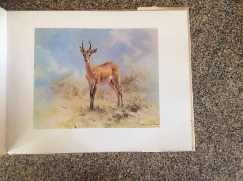 An Artist in Africa  David Shepherd 1st Ed 1969.