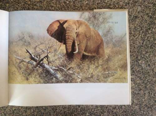 An Artist in Africa  David Shepherd 1st Ed 1969.