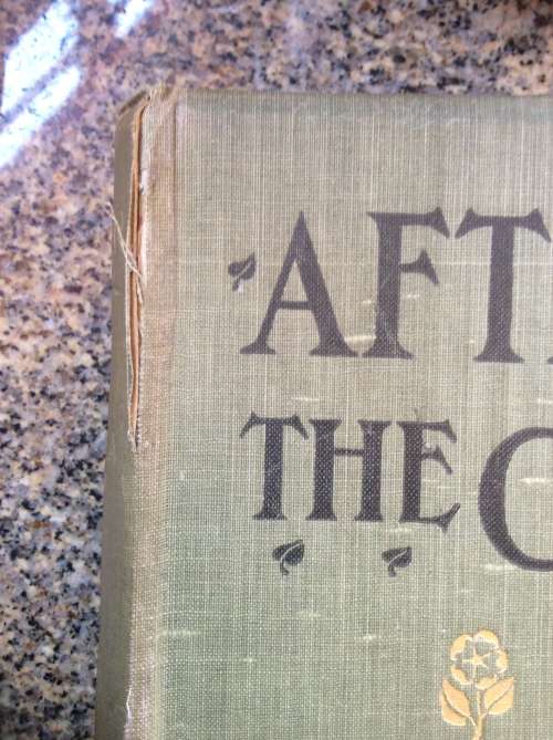 After Pretoria The Guerilla War. Vol 2.  Supplement to : With The Flag To Pretoria