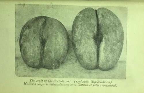 The History of Seychelles. 2 volume set.c.1940