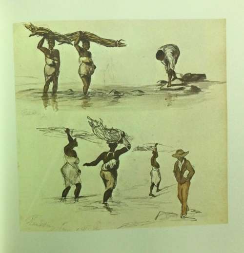 The Brenthurst Baines : A selection of the works of Thomas Baines. c.1975. Limited Edition.