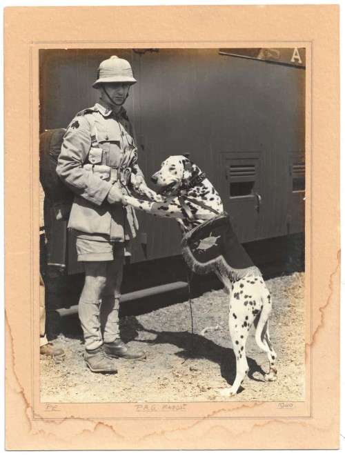 Photograph of a Prince Alfred Guard. c.1940