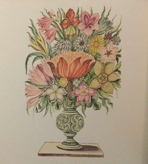 The Flora Capensis. Date: c.1978. Brenthurst Press.