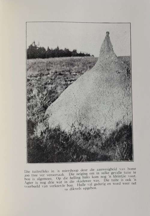 Die Siel van die Mier. First Edition with rare dust jacket