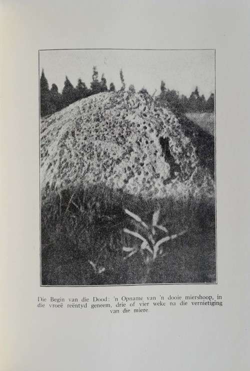 Die Siel van die Mier. First Edition with rare dust jacket