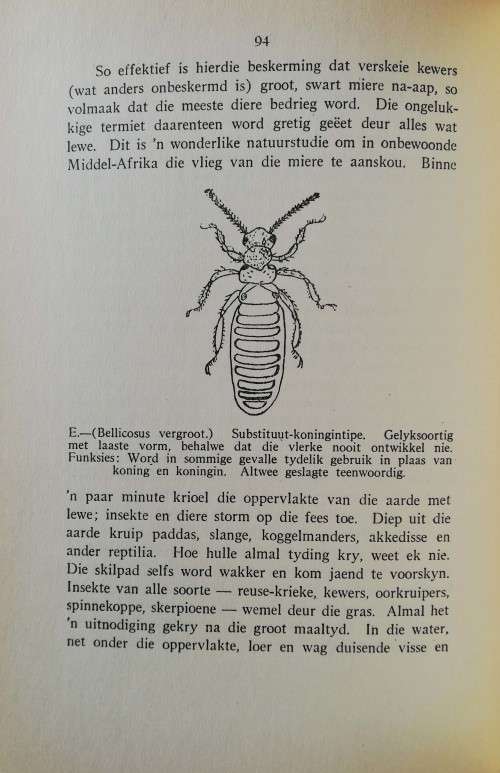 Die Siel van die Mier. First Edition with rare dust jacket