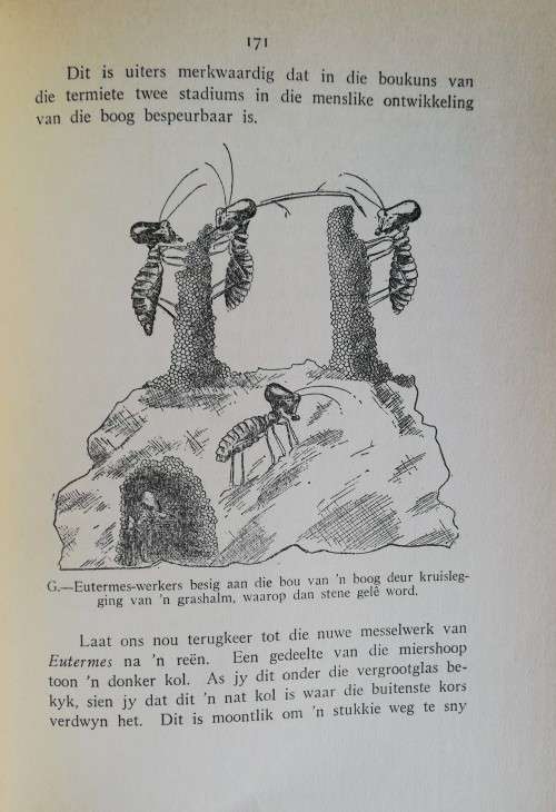 Die Siel van die Mier. First Edition with rare dust jacket