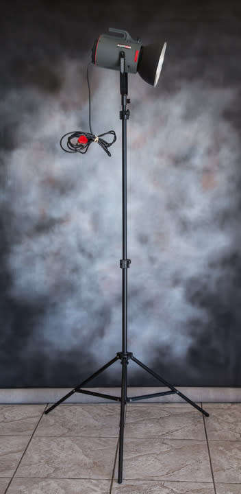 Courtenay Studio Flash System