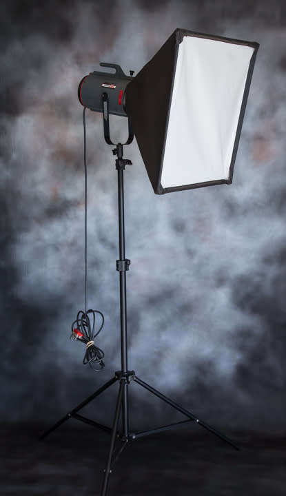 Courtenay Studio Flash System