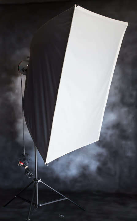 Courtenay Studio Flash System