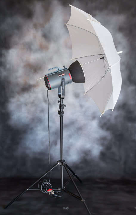 Courtenay Studio Flash System