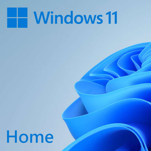 Microsoft Windows 11 Home