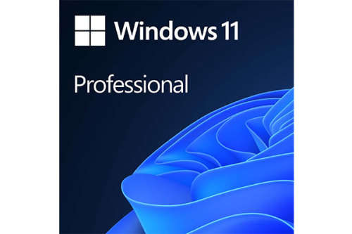 Microsoft Windows 11 Professional