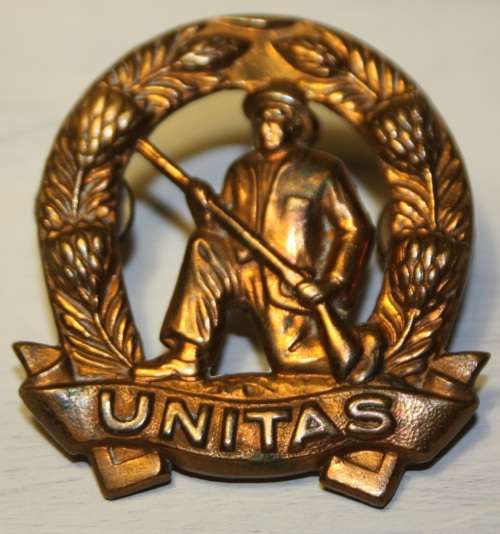 SADF Citizen Force Infantry Cap Badge (Gilding)