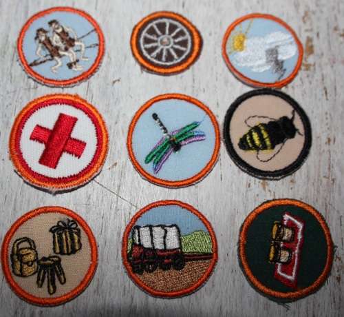 Voortrekker lot of badges