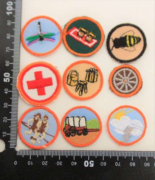 Lot Voortrekker Badges (9)