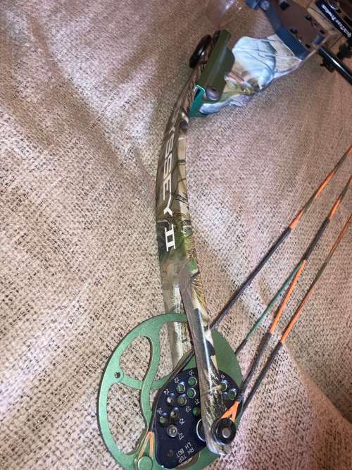 Bear Archery Odyssey 2