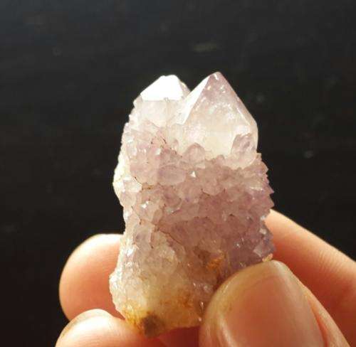 Twin Amethyst Cactus Crystal...