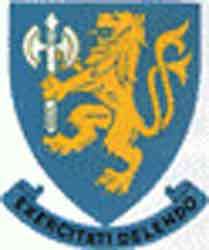 SAAF 89 Squadron Combat FS Badge Decals.