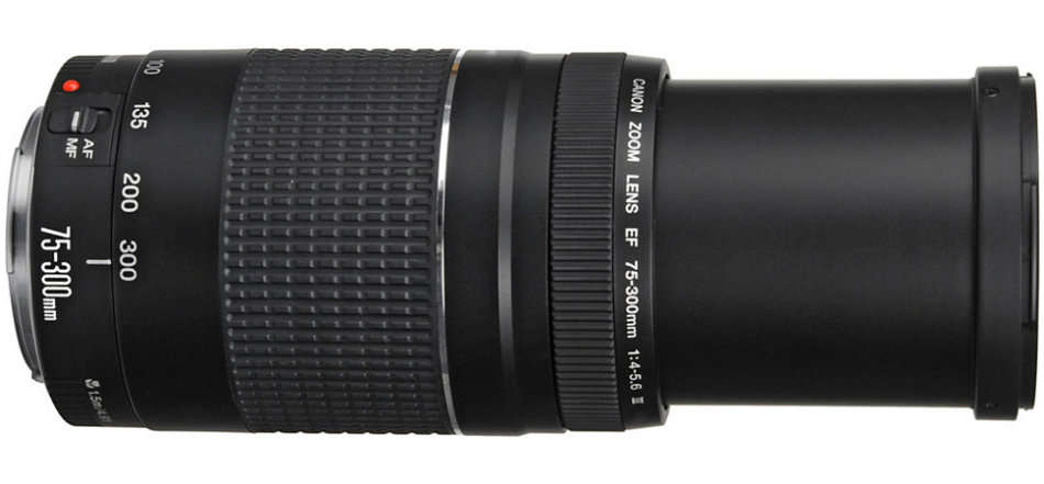 CANON EF 75-300mm TELEPHOTO ZOOM LENS for CANON DSLR Cameras