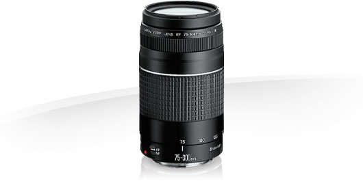 CANON EF 75-300mm TELEPHOTO ZOOM LENS for CANON DSLR Cameras