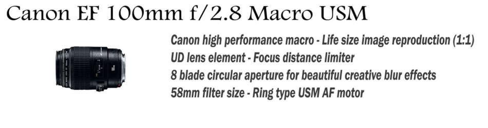 Canon EF 100mm f2.8 Macro ULTRASONIC Wide Angle Lens for Canon DSLR Cameras !