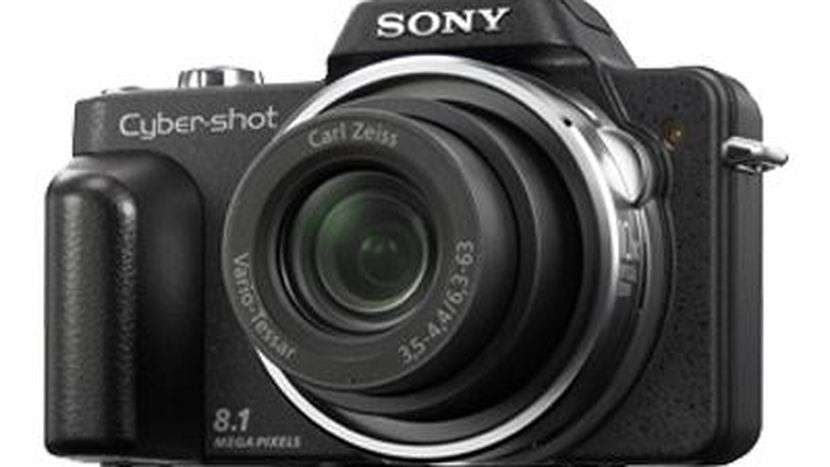 Sony Cyber-shot DSC-H3 Digital Camera with 10x Optical Zoom Super SteadyShot Image Stabilization