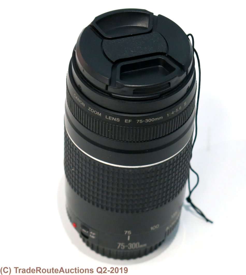 CANON EF 75-300MM ZOOM LENS - FUNGUS INSIDE FRONT ELEMENT