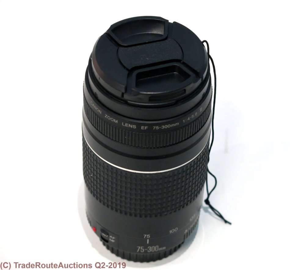 CANON EF 75-300MM ZOOM LENS - FUNGUS INSIDE FRONT ELEMENT