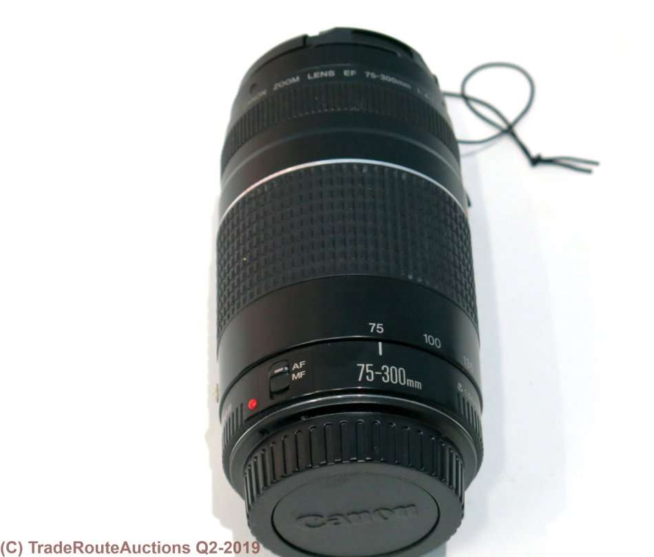 CANON EF 75-300MM ZOOM LENS - FUNGUS INSIDE FRONT ELEMENT