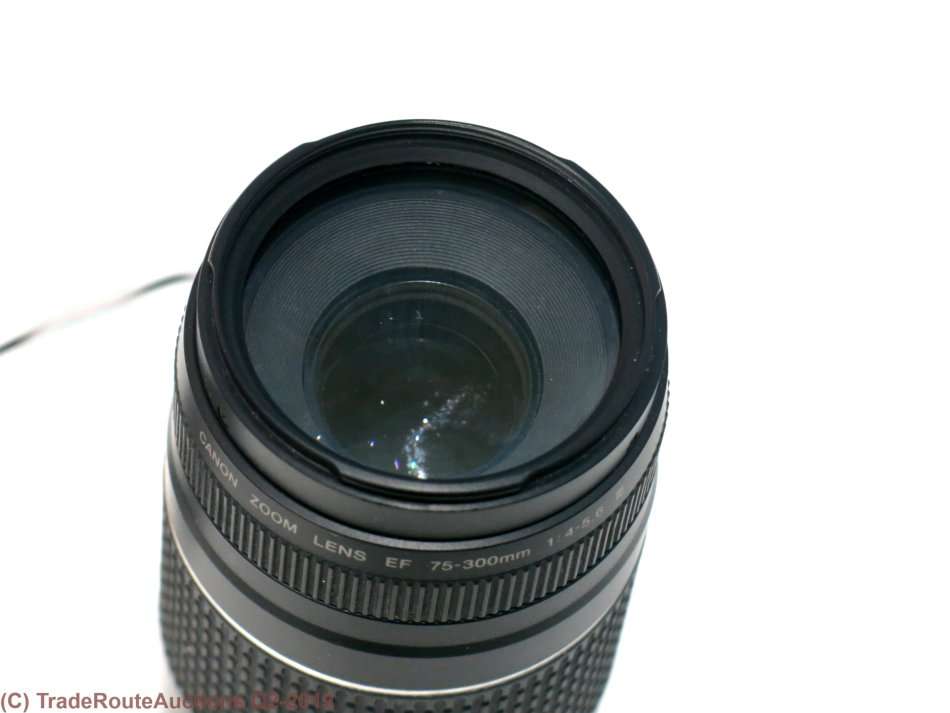 CANON EF 75-300MM ZOOM LENS - FUNGUS INSIDE FRONT ELEMENT