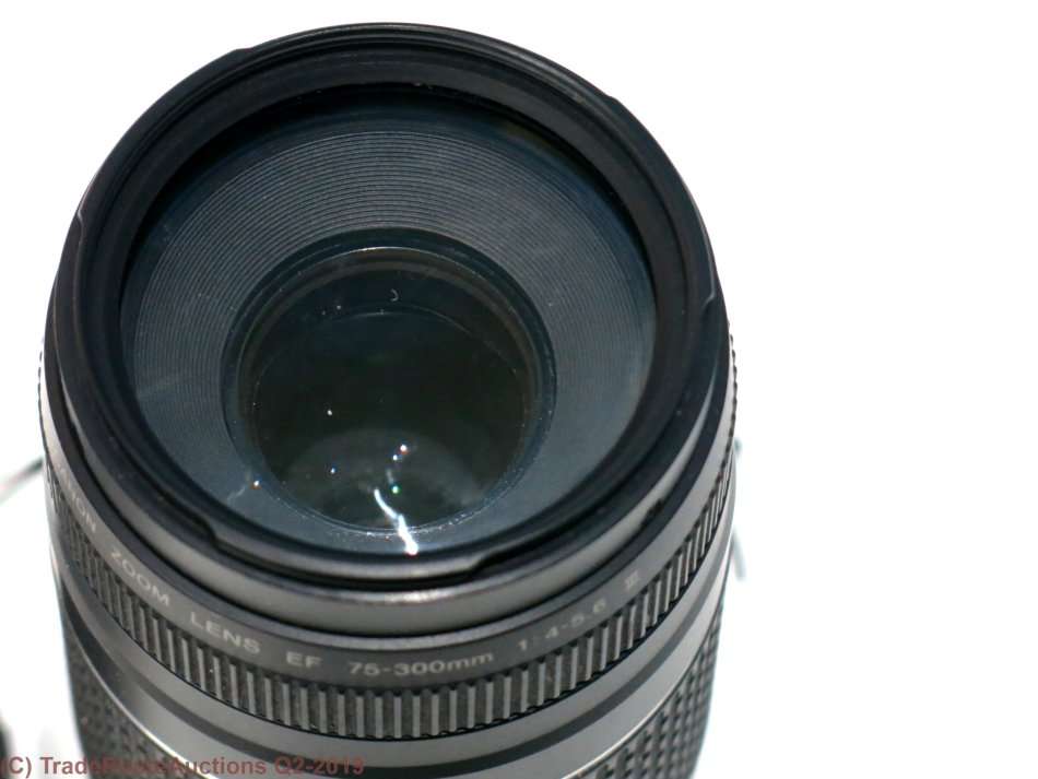 CANON EF 75-300MM ZOOM LENS - FUNGUS INSIDE FRONT ELEMENT