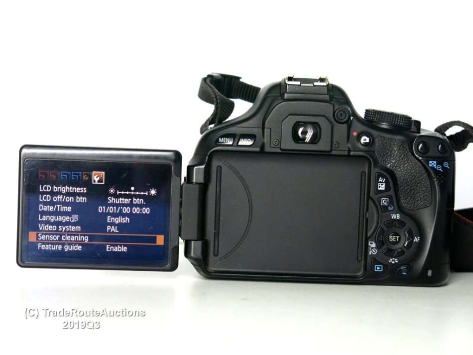 Please read - Canon EOS REBEL T3i (600D Equivalent) Digital SLR CAMERA BODY