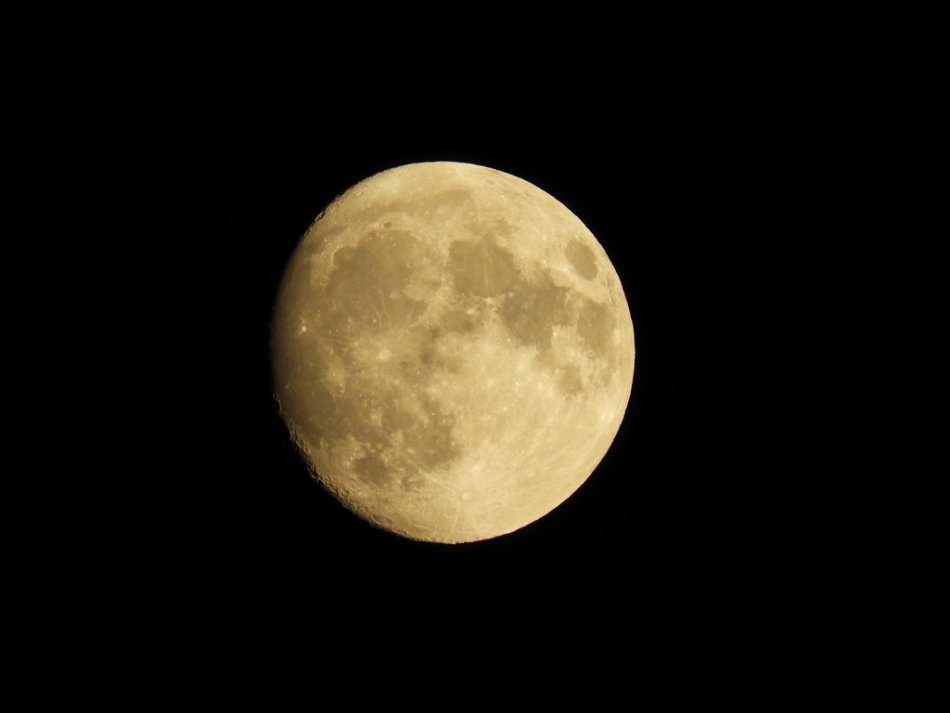 Nikon COOLPIX B700 20.2 MP 60x Opt Zoom Super Telephoto NIKKOR 4K UHD Digital Camera