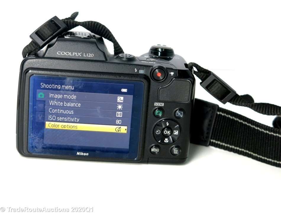 Nikon COOLPIX L120 14.1 MP Digital Camera with 21x NIKKOR Wide-Angle Optical Zoom Lens