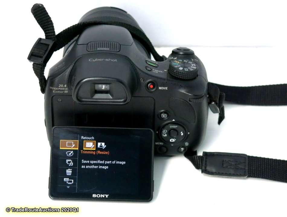 Sony Cyber-Shot DSC-HX300 20.4 MP Digital Camera 50X Optical Zoom