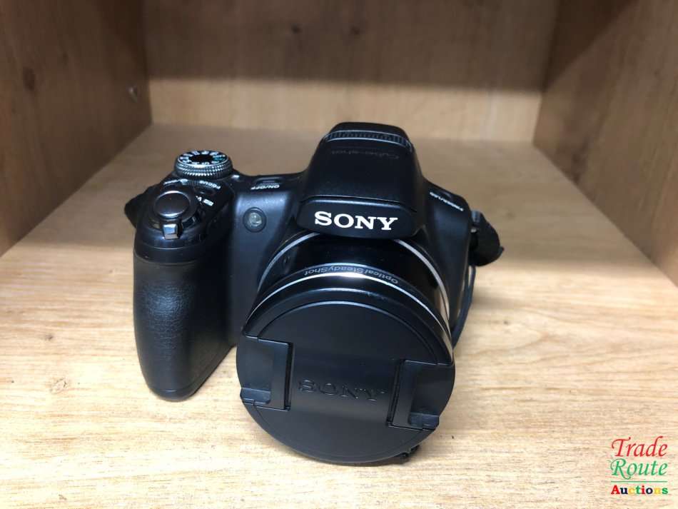 Sony Cybershot DSC-HX1 9.1MP 20x Optical Zoom Digital Camera