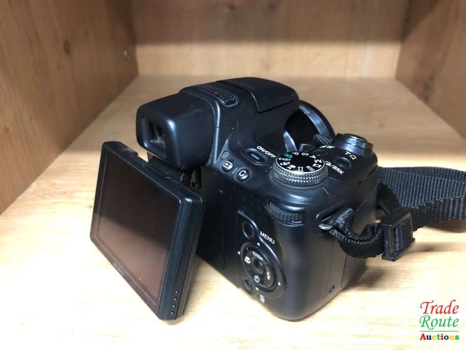 Sony Cybershot DSC-HX1 9.1MP 20x Optical Zoom Digital Camera