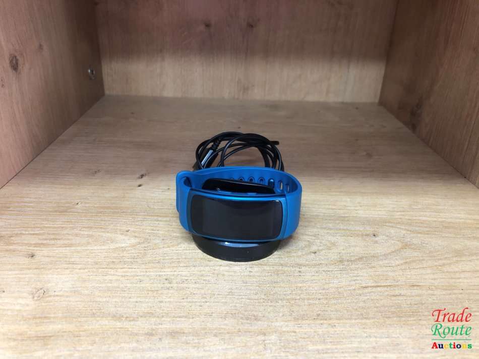 Samsung Gear Fit 2 Smart Watch SM-R360 - Blue - Large