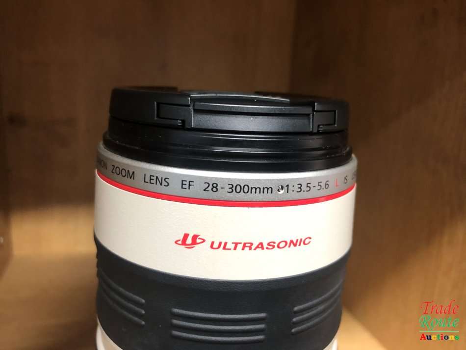 Canon EF 28-300mm f/3.5-5.6 L IS USM Lens