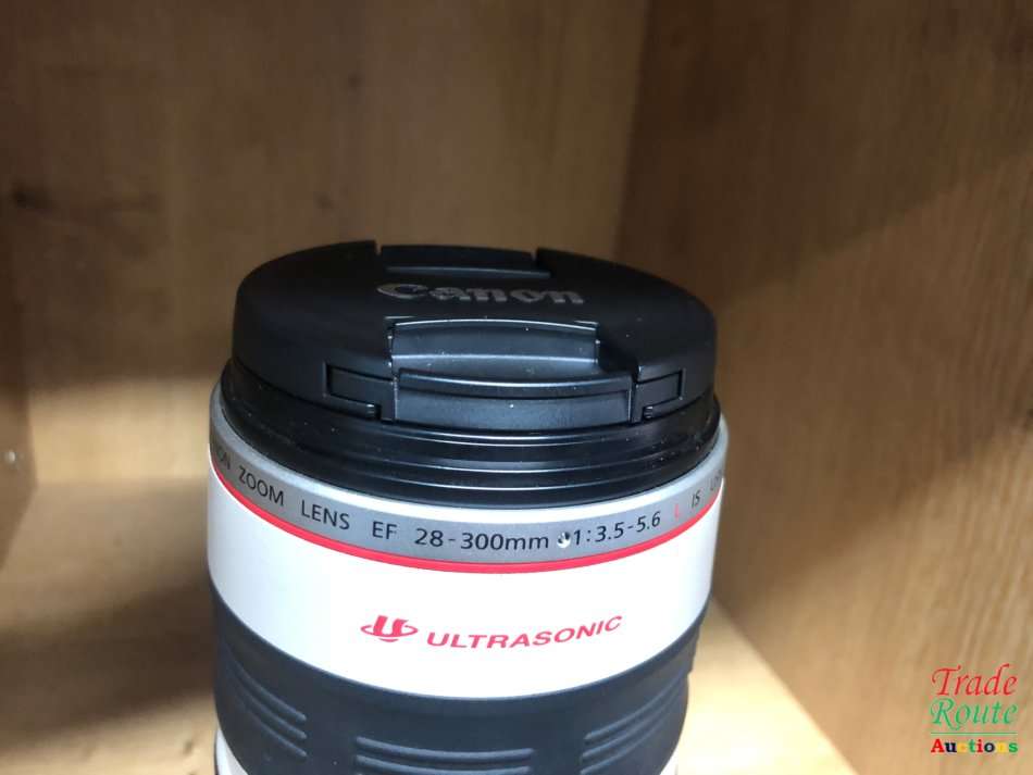 Canon EF 28-300mm f/3.5-5.6 L IS USM Lens
