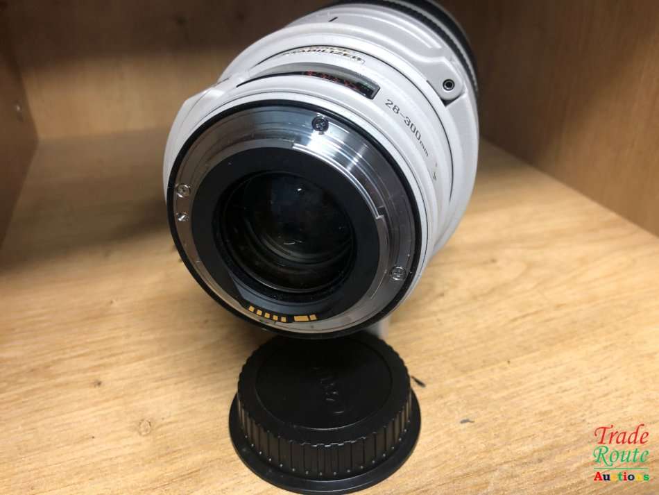 Canon EF 28-300mm f/3.5-5.6 L IS USM Lens